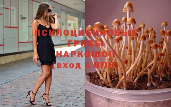 mix Армянск